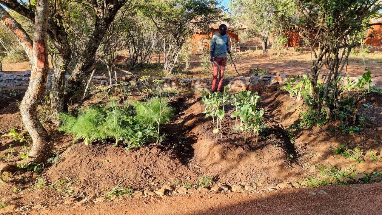 Africa Safari Maasai Boma Camping 塞伦盖蒂 外观 照片